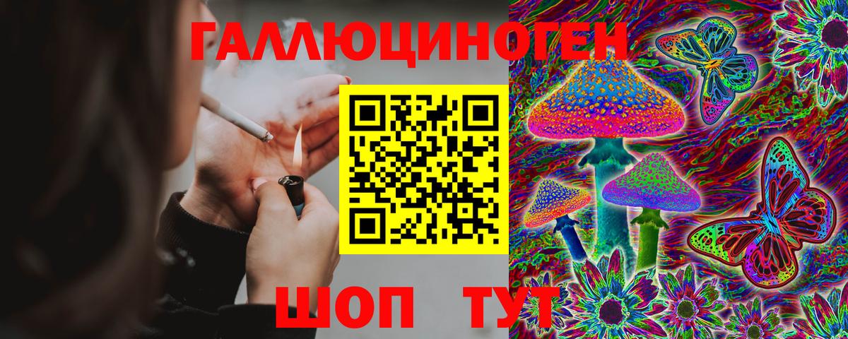 Галлюциногенные грибы Psilocybine cubensis  Вход с VPN  Ногинск 