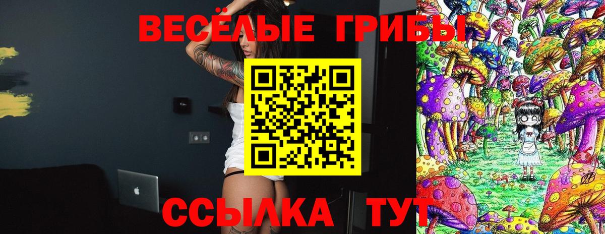 Псилоцибиновые грибы мицелий Ногинск